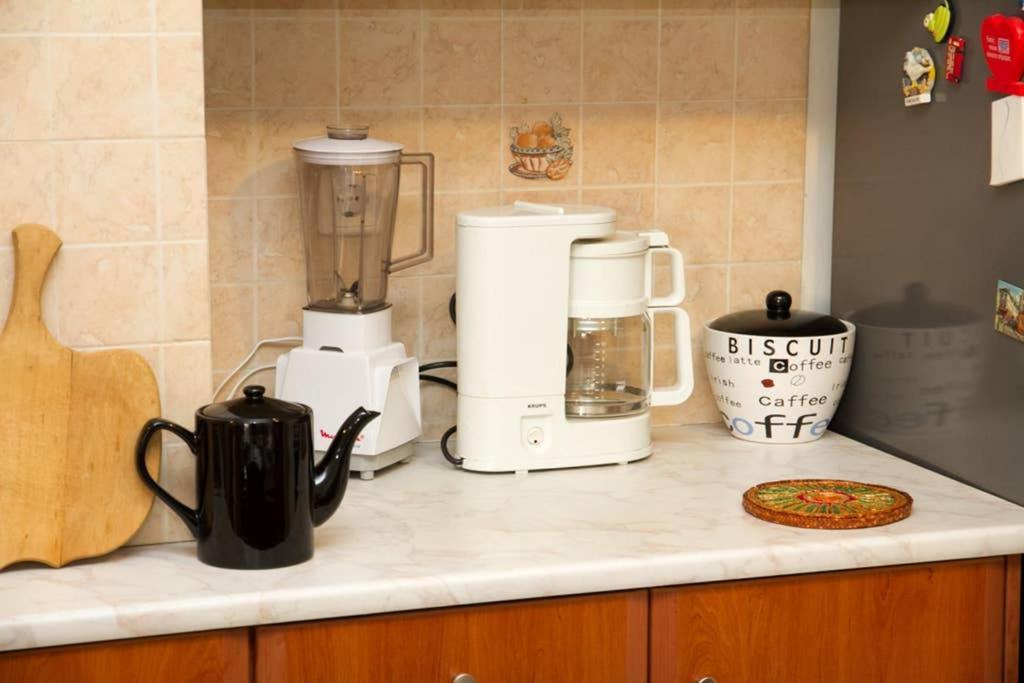 Spacious Family Flat Near Parthenon Free Parking アテネ エクステリア 写真